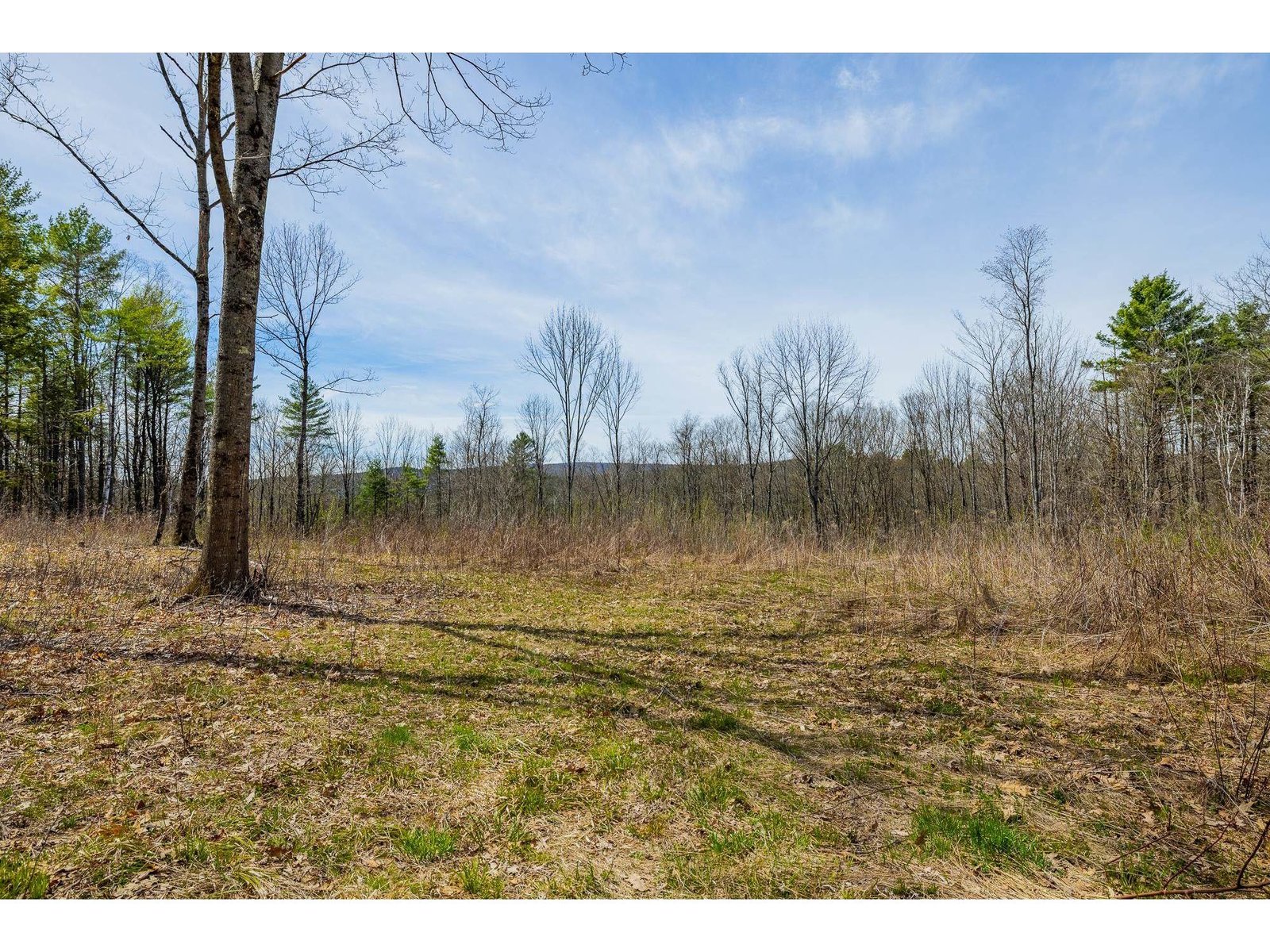 00 Olcott Road