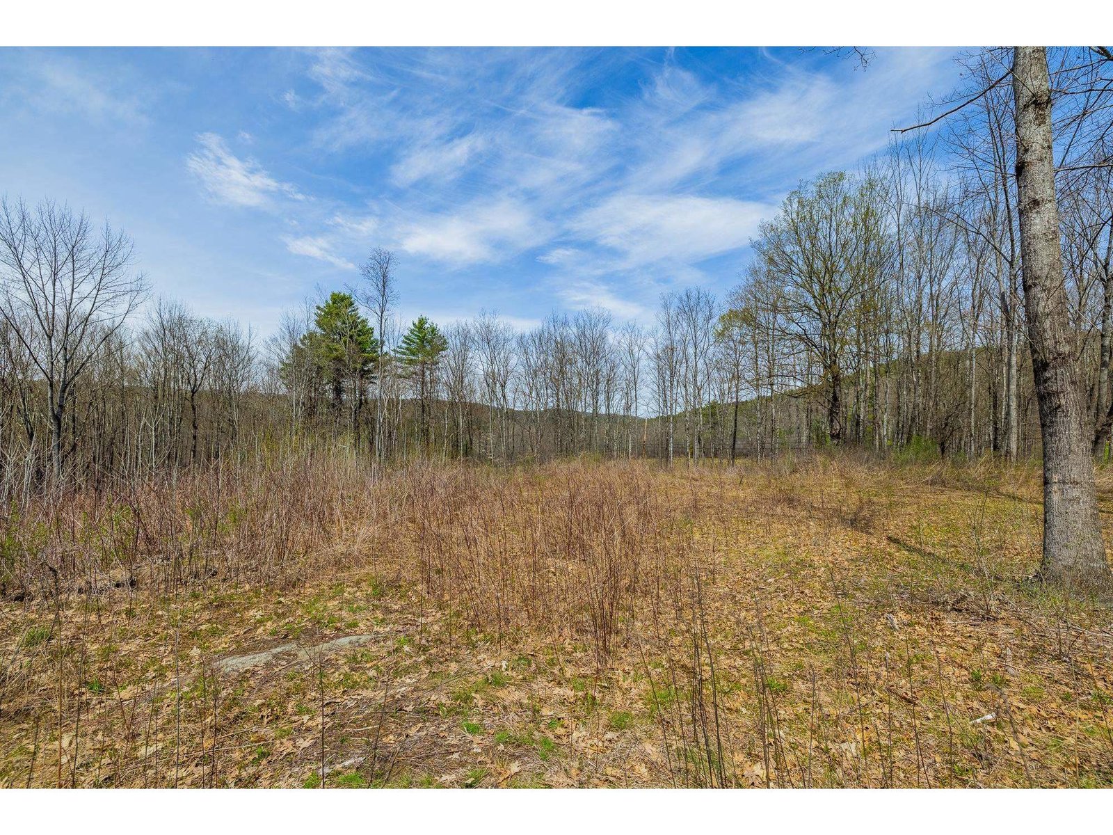 00 Olcott Road