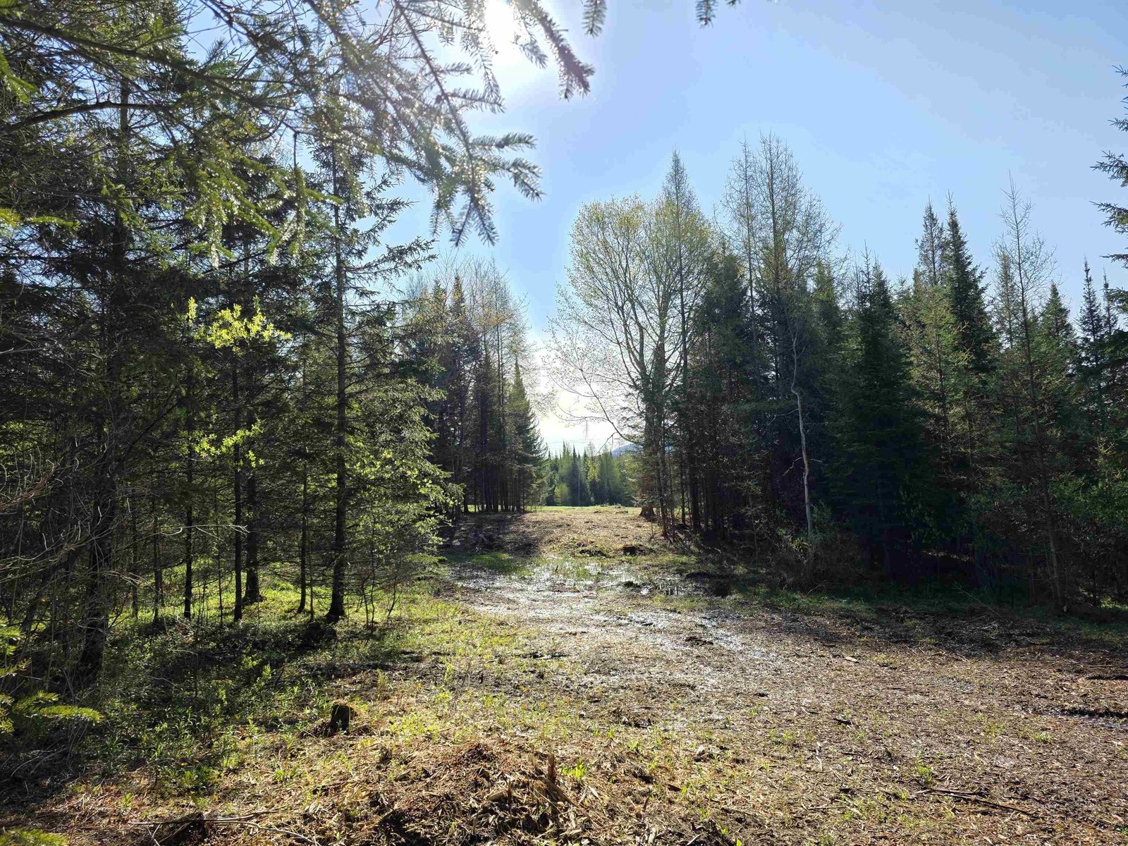 00 Old Coach Road