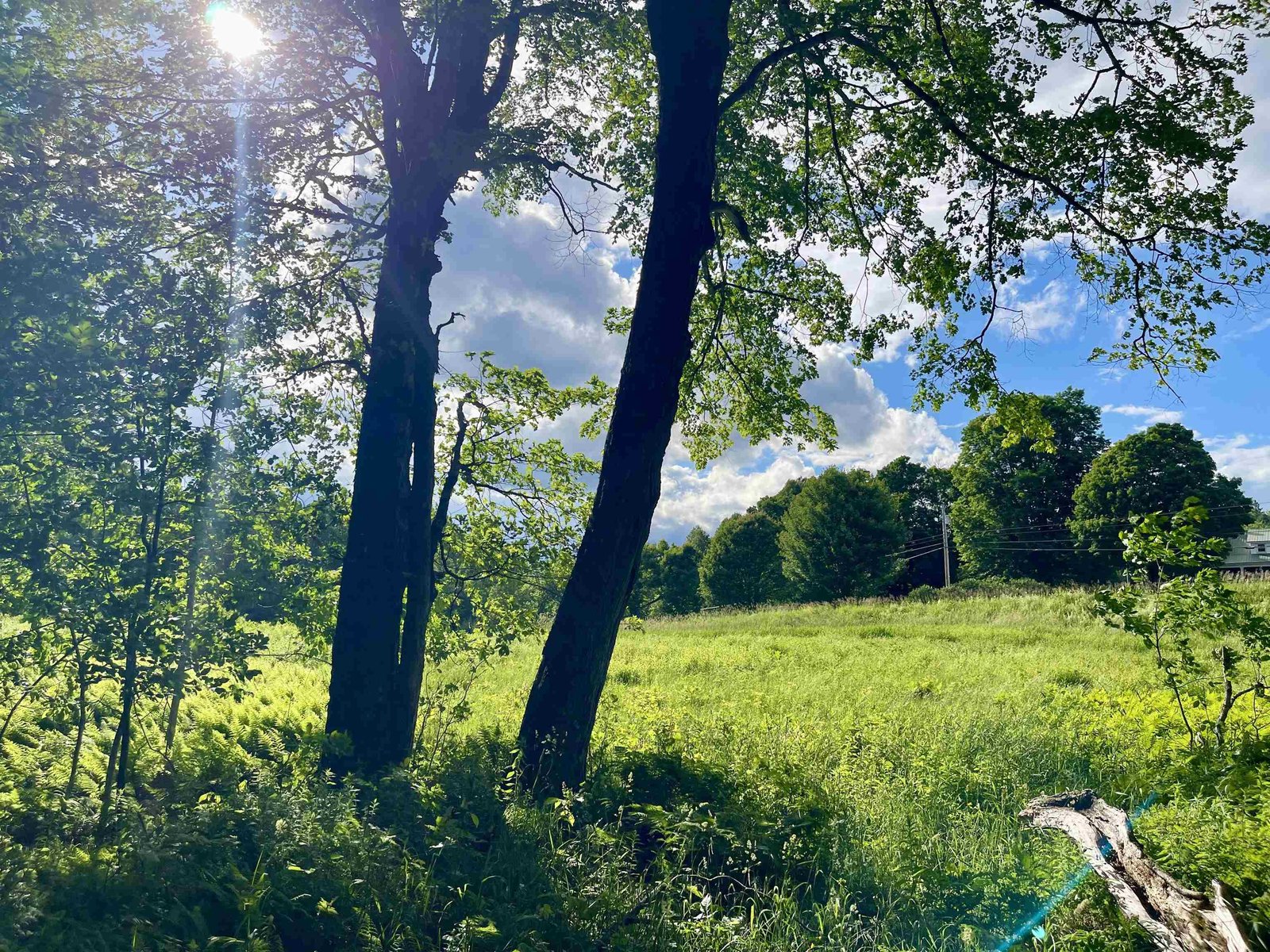 00 Old Farm Road