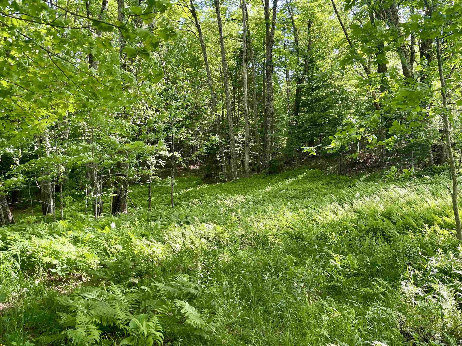 00 Old Farm Road