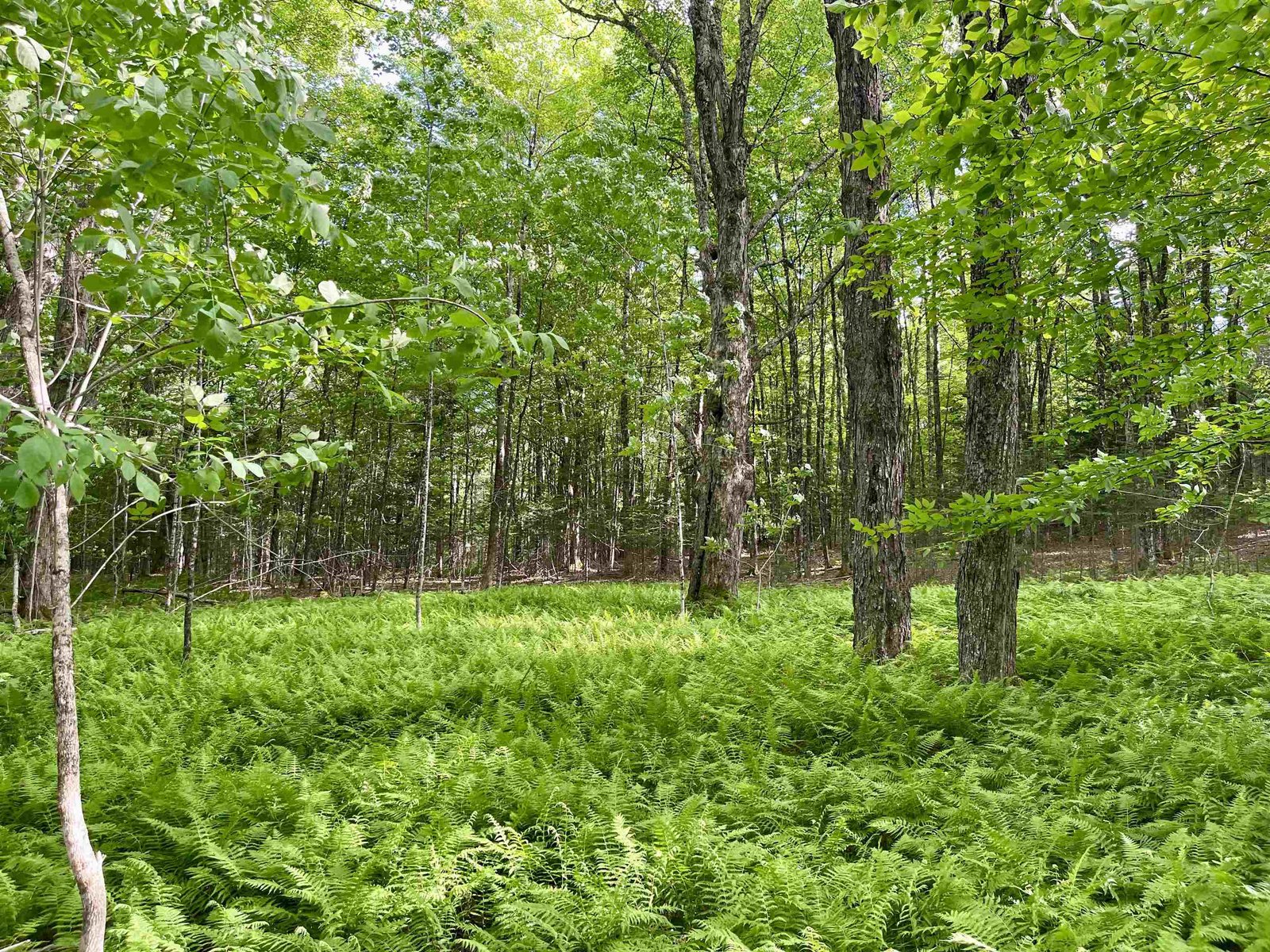 00 Old Farm Road