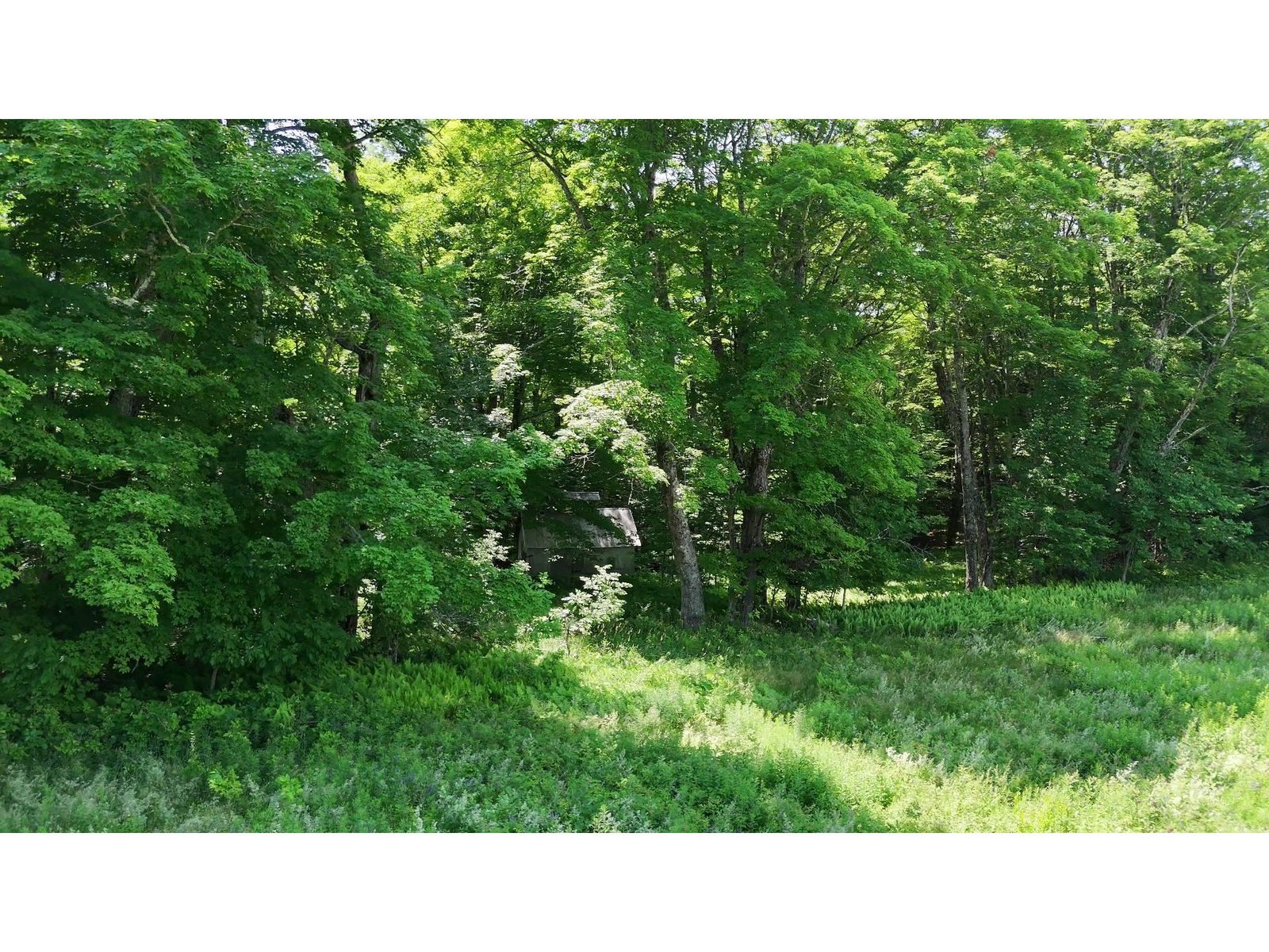 00 Old Farm Road