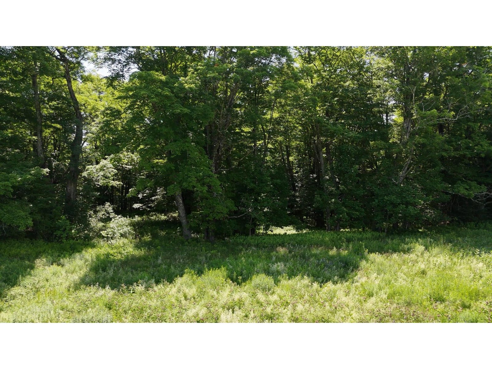 00 Old Farm Road
