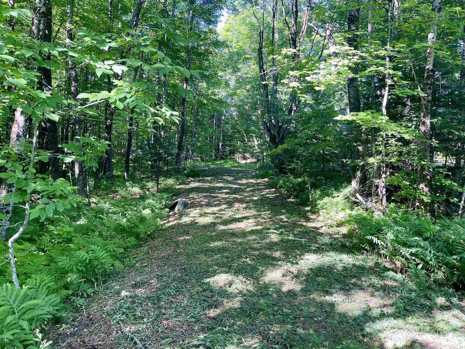 00 Old Farm Road