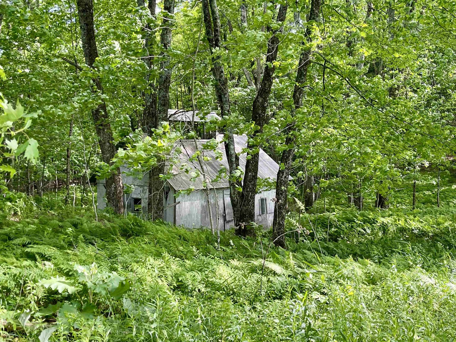 00 Old Farm Road