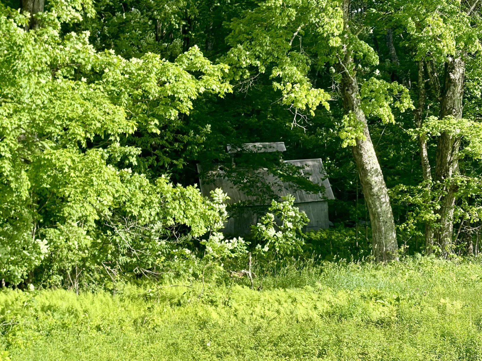 00 Old Farm Road