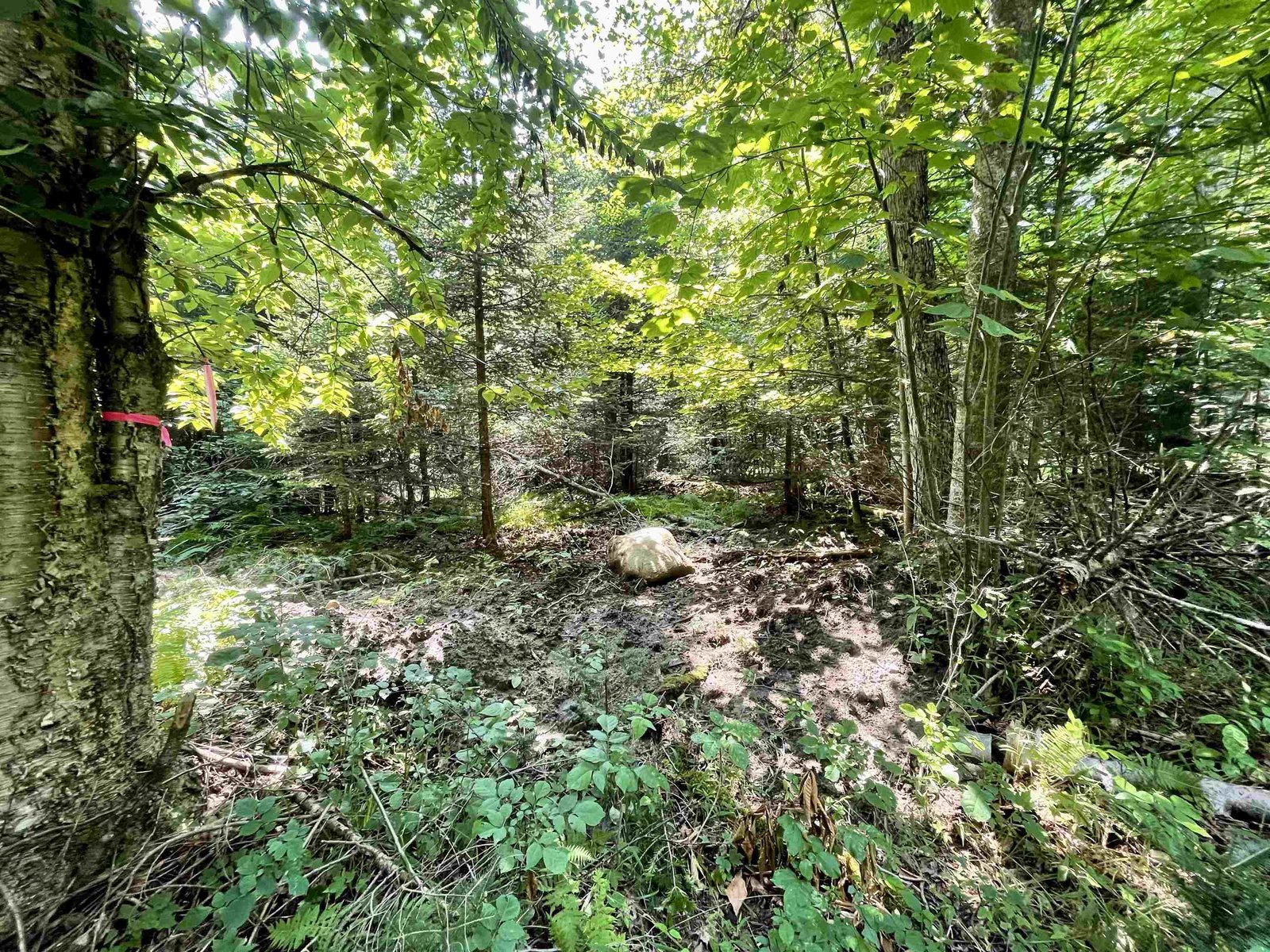 00 Peene Hill Road