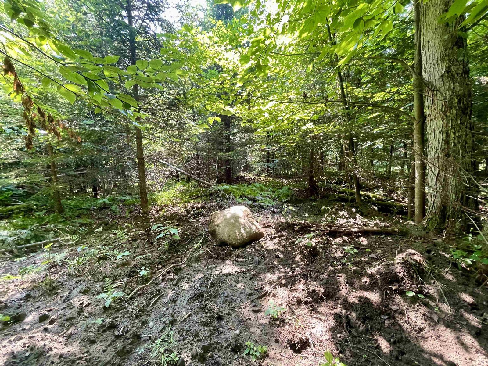 00 Peene Hill Road
