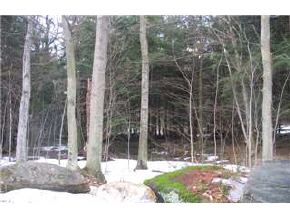 00 PINE TREE LANE, LOT #16