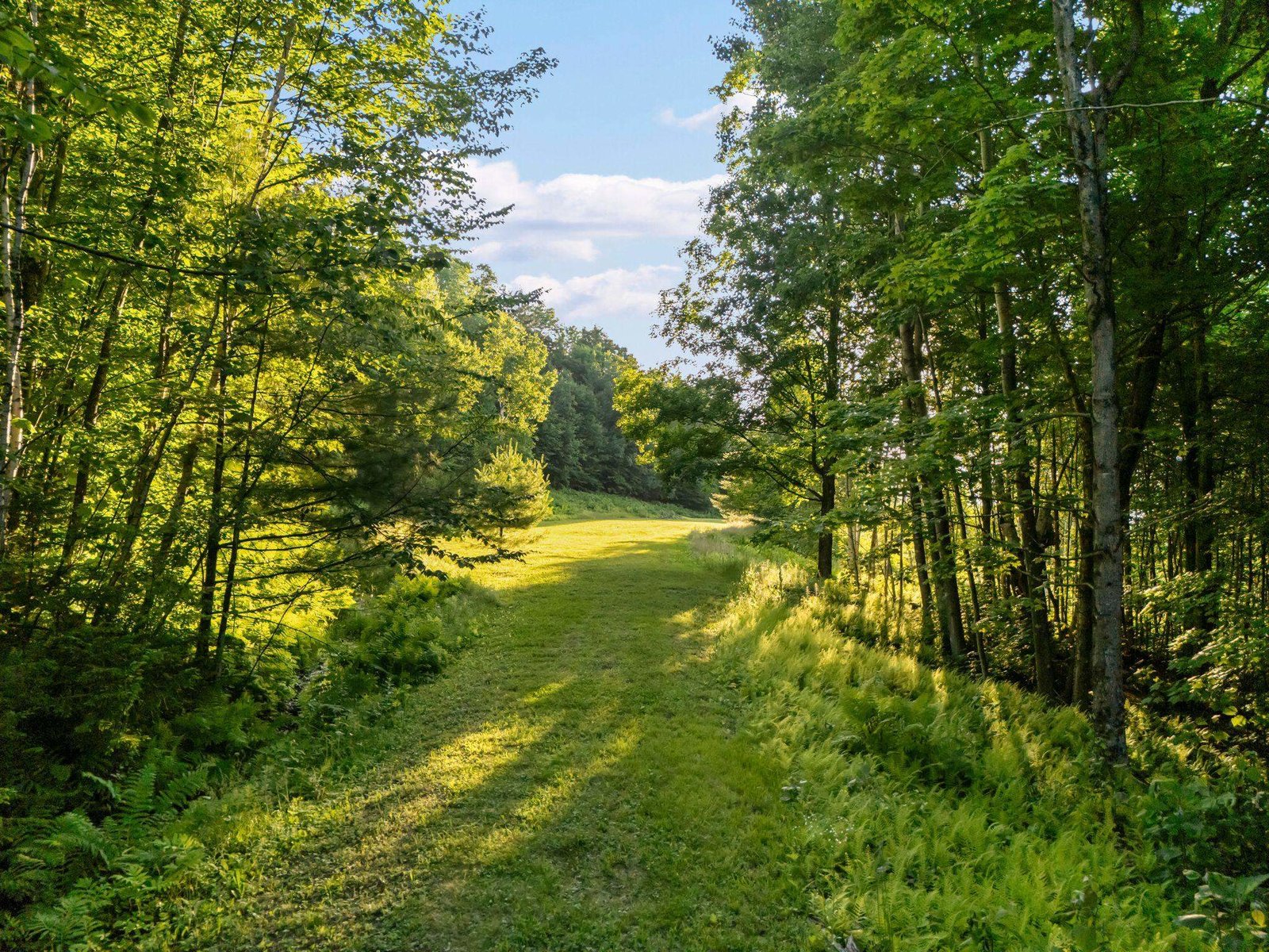 00 Pinnacle Meadow Road