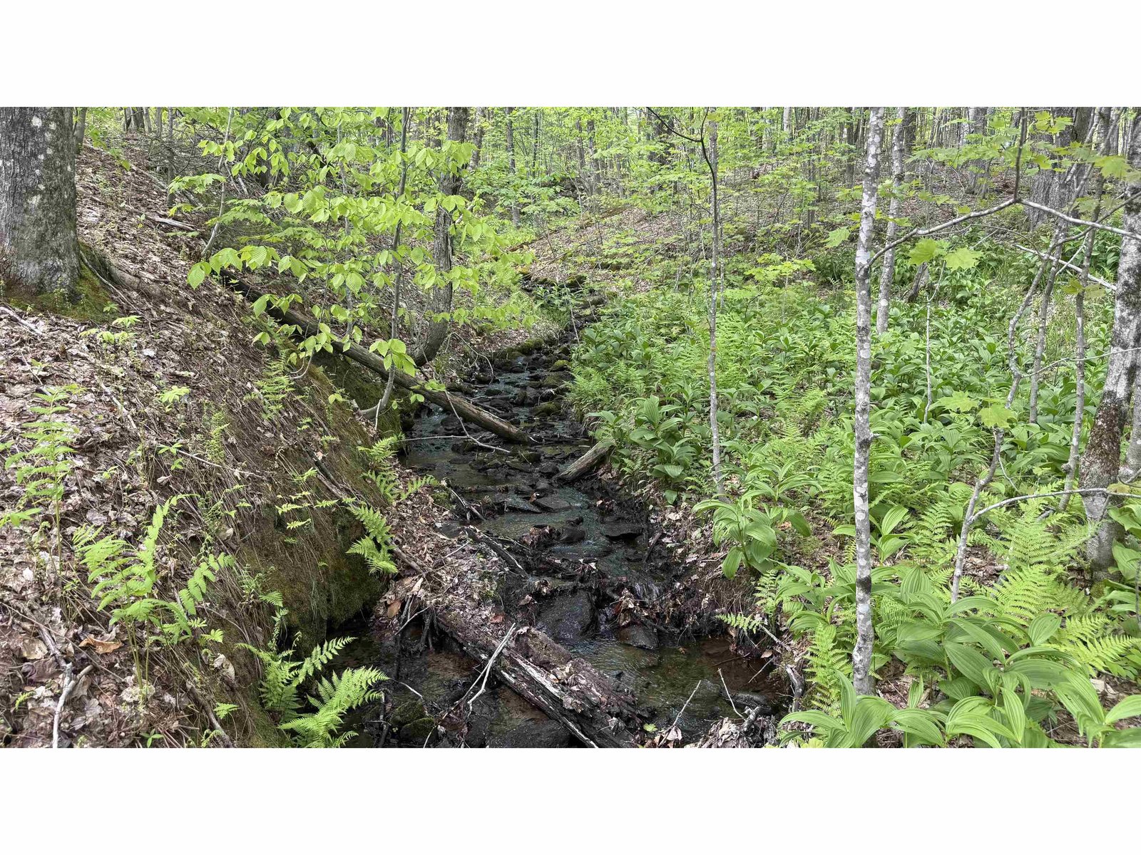 00 Potter Road