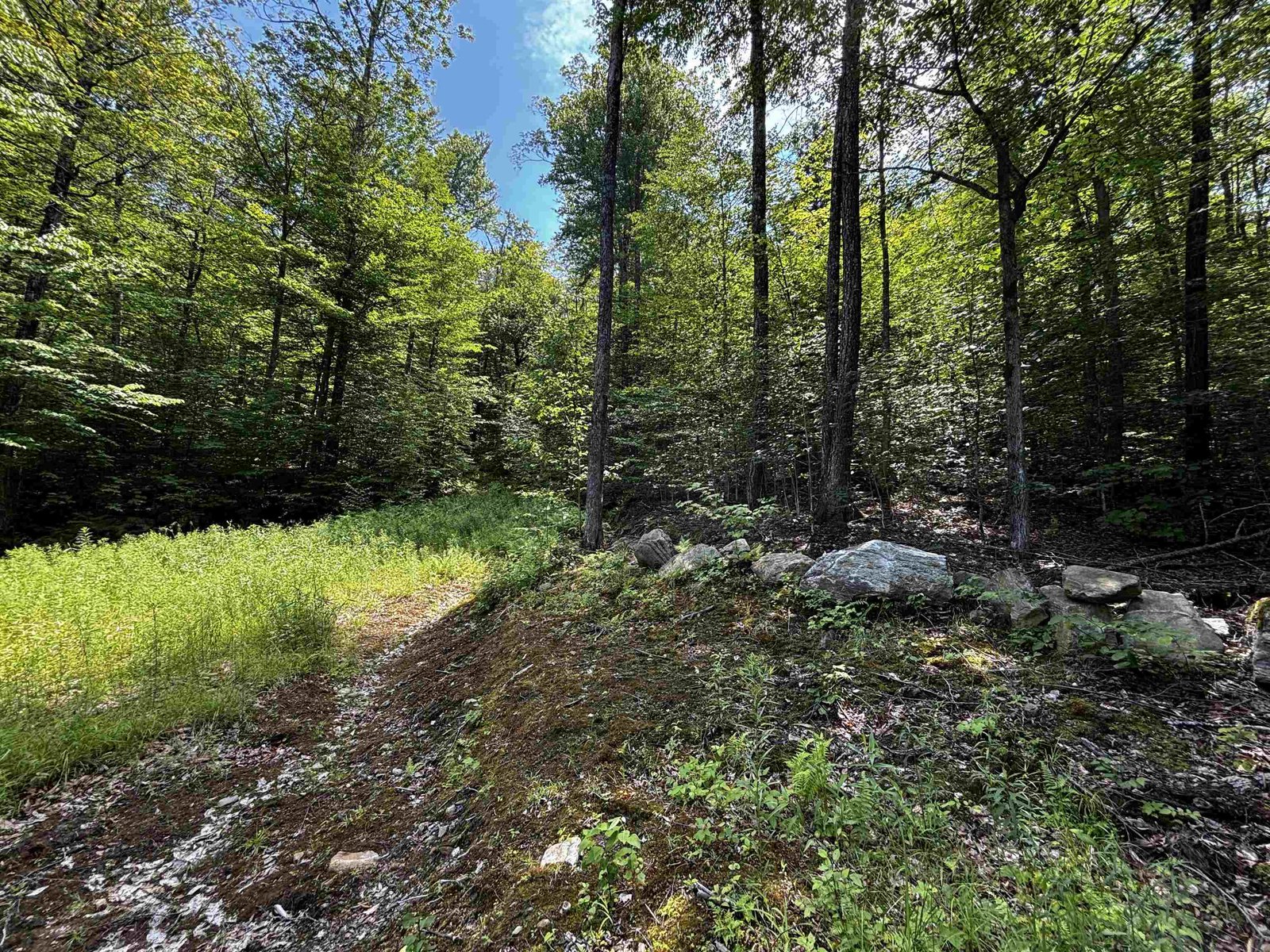 00 Quarry Road