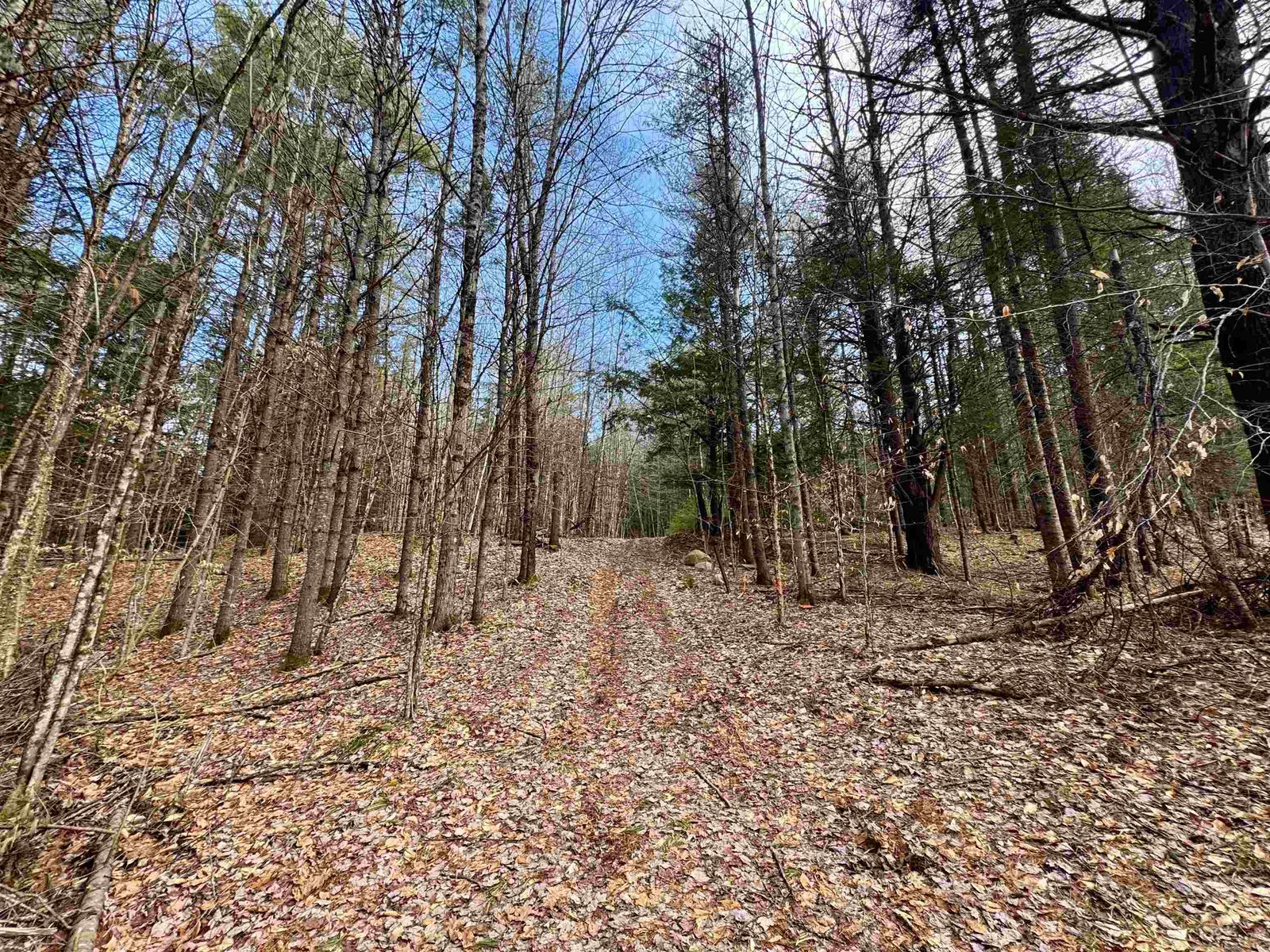 00 Quint Road