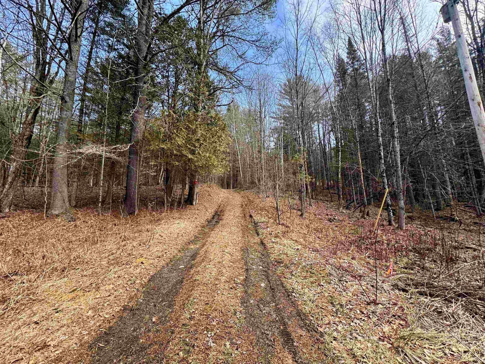 00 Quint Road
