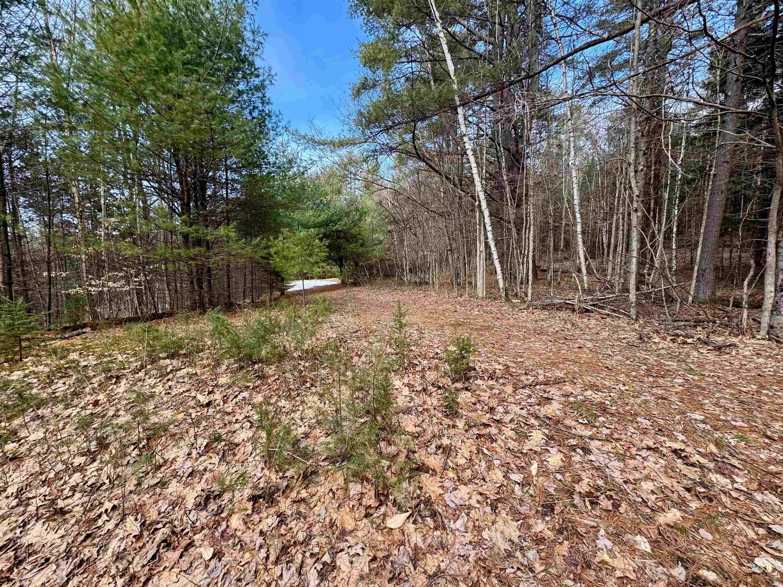 00 Quint Road