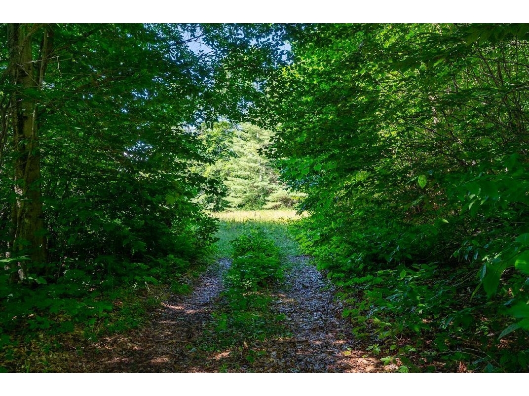 00 Robinson Springs Road