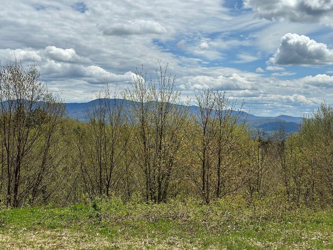 00 Robinson Springs Road