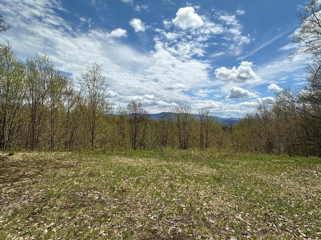 00 Robinson Springs Road