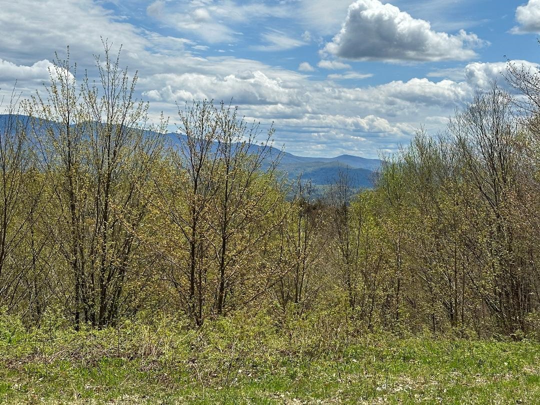 00 Robinson Springs Road