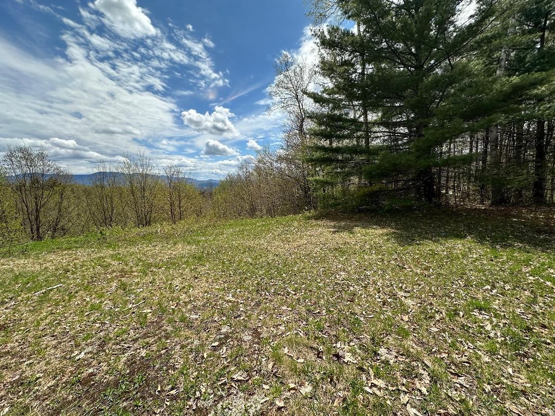 00 Robinson Springs Road