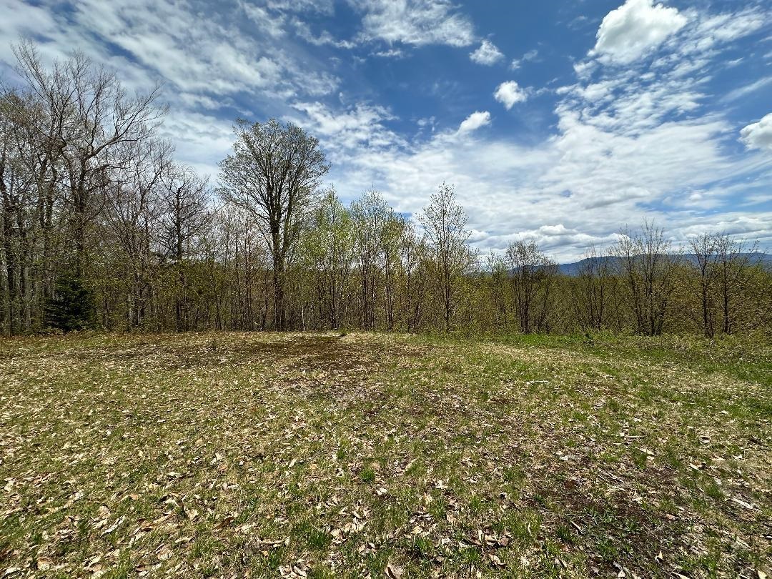 00 Robinson Springs Road