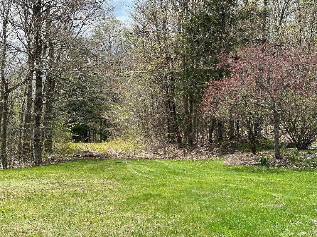 00 Robinson Springs Road