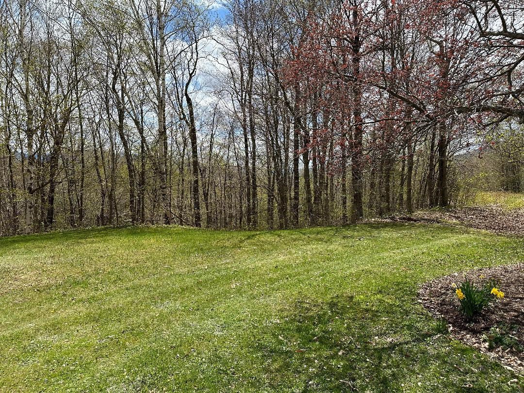 00 Robinson Springs Road
