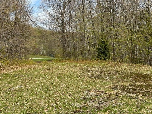 00 Robinson Springs Road