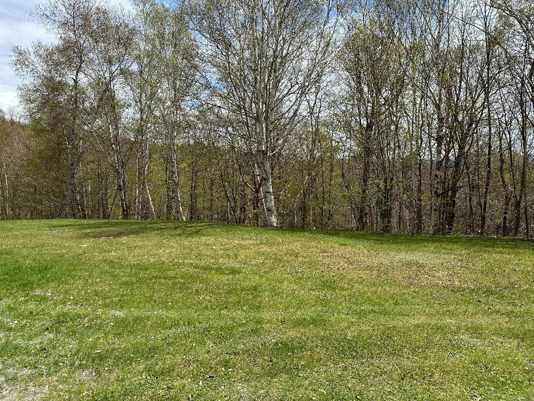 00 Robinson Springs Road