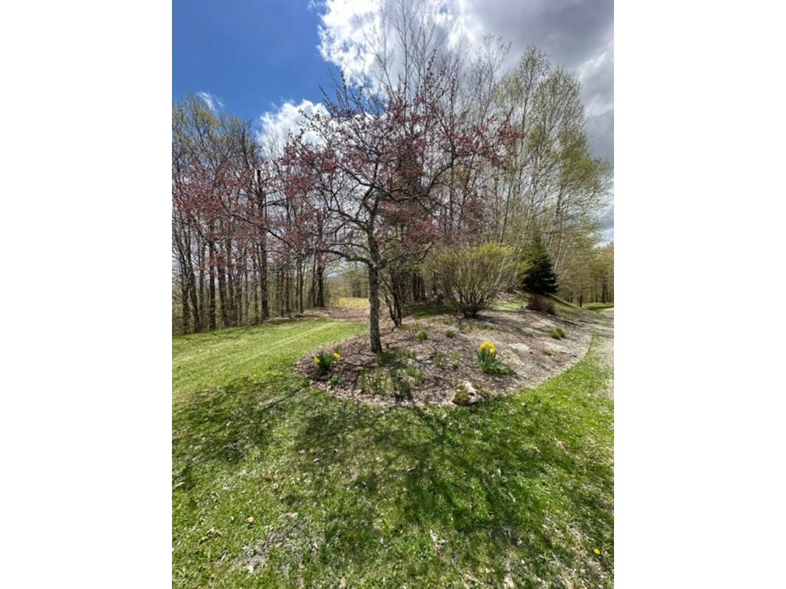 00 Robinson Springs Road