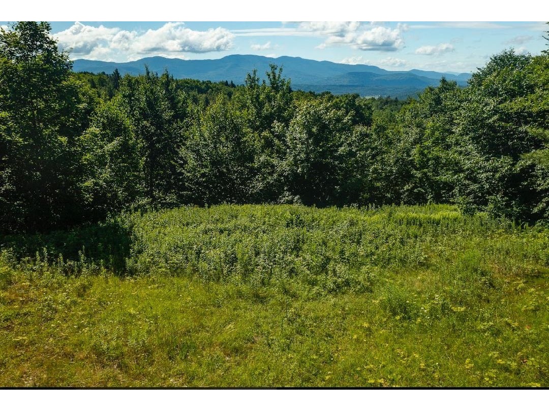 00 Robinson Springs Road
