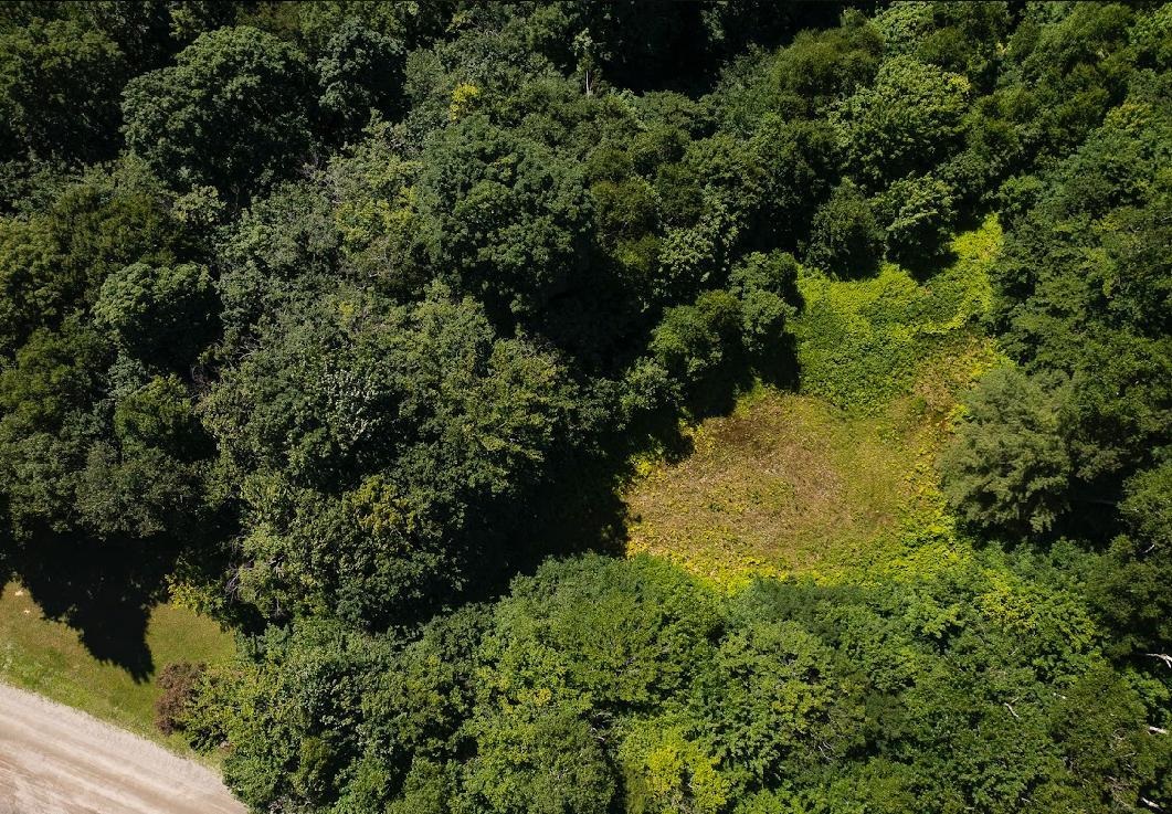 00 Robinson Springs Road