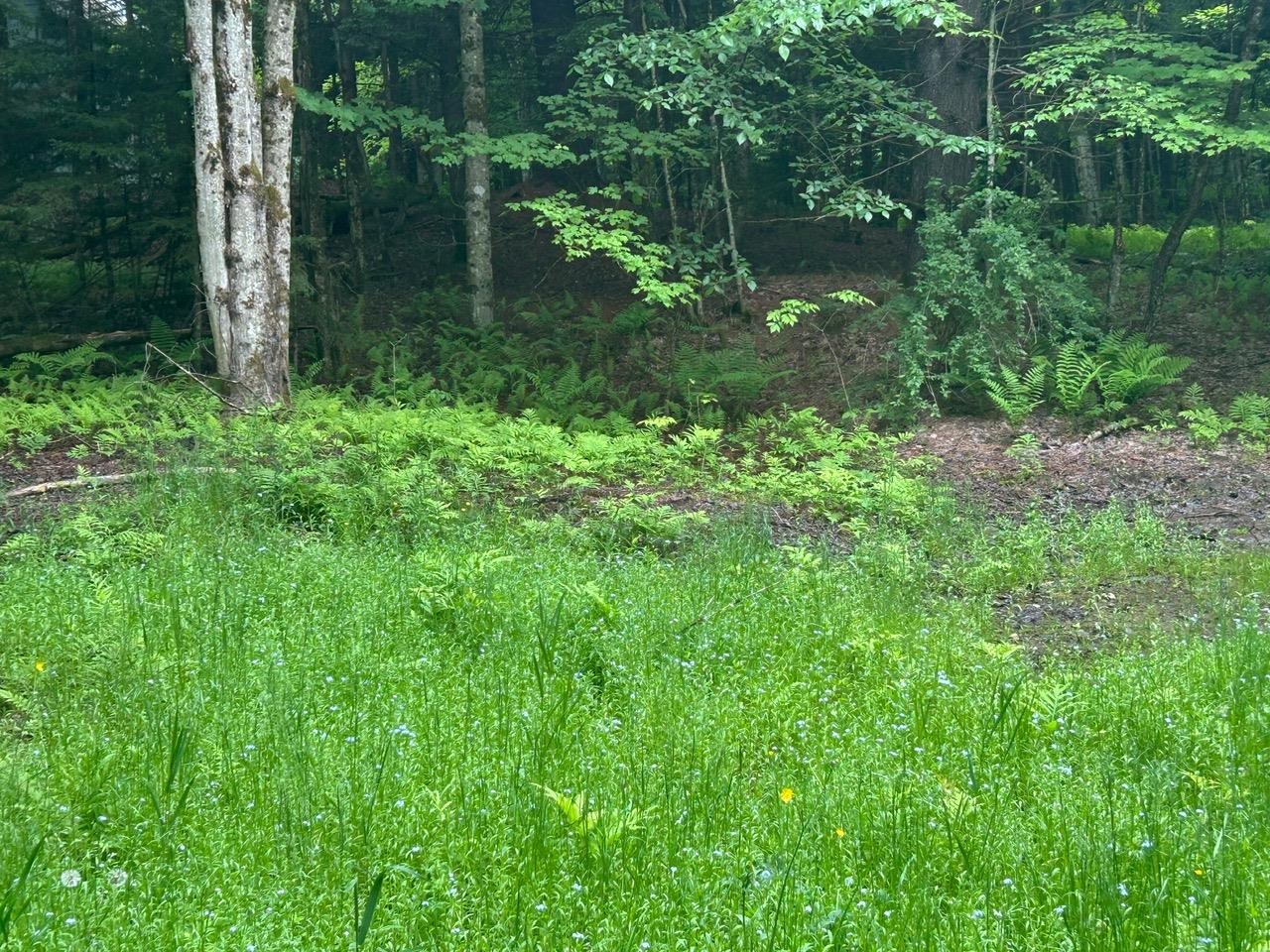 Green green green!