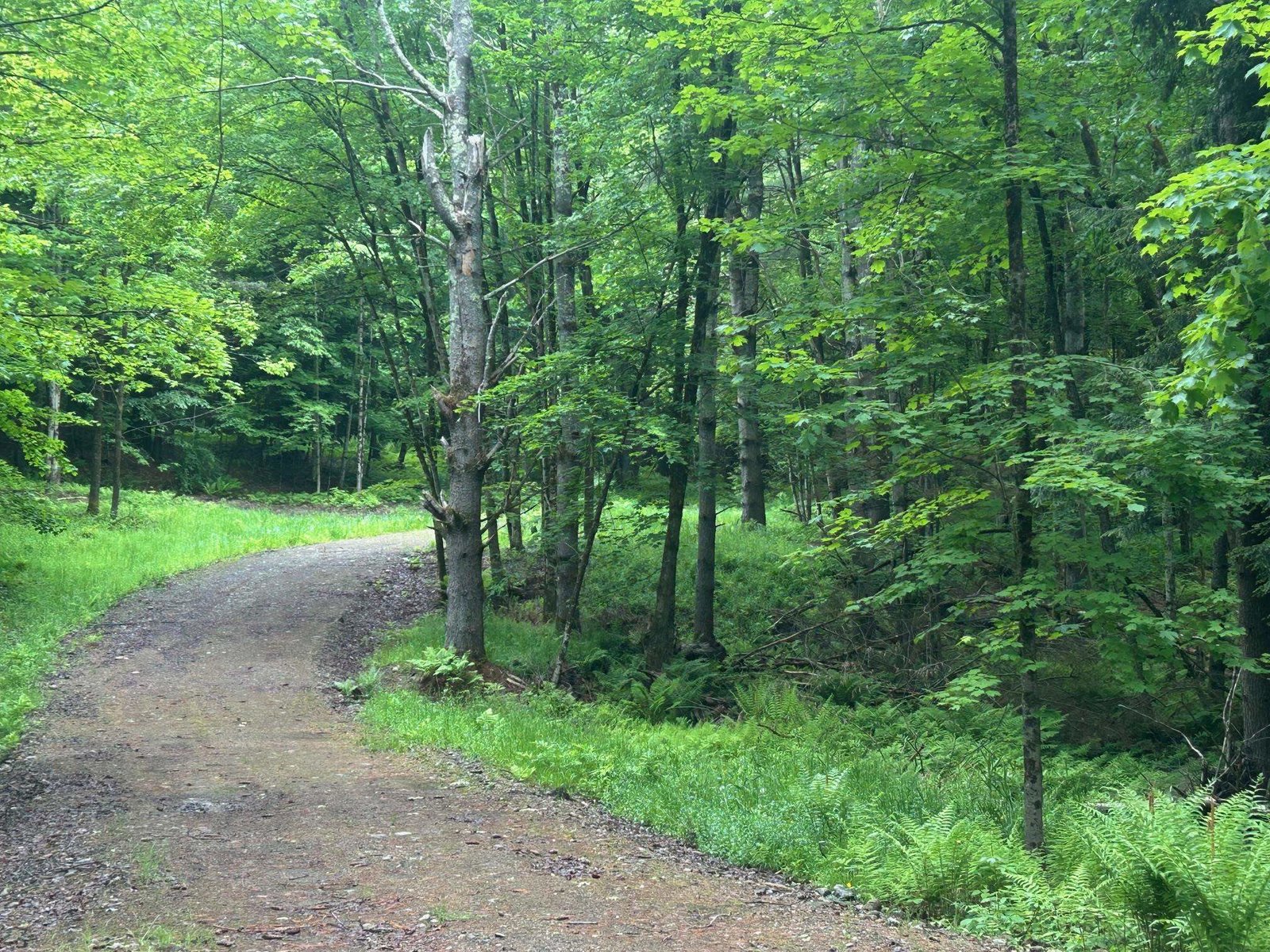 The driveway to home