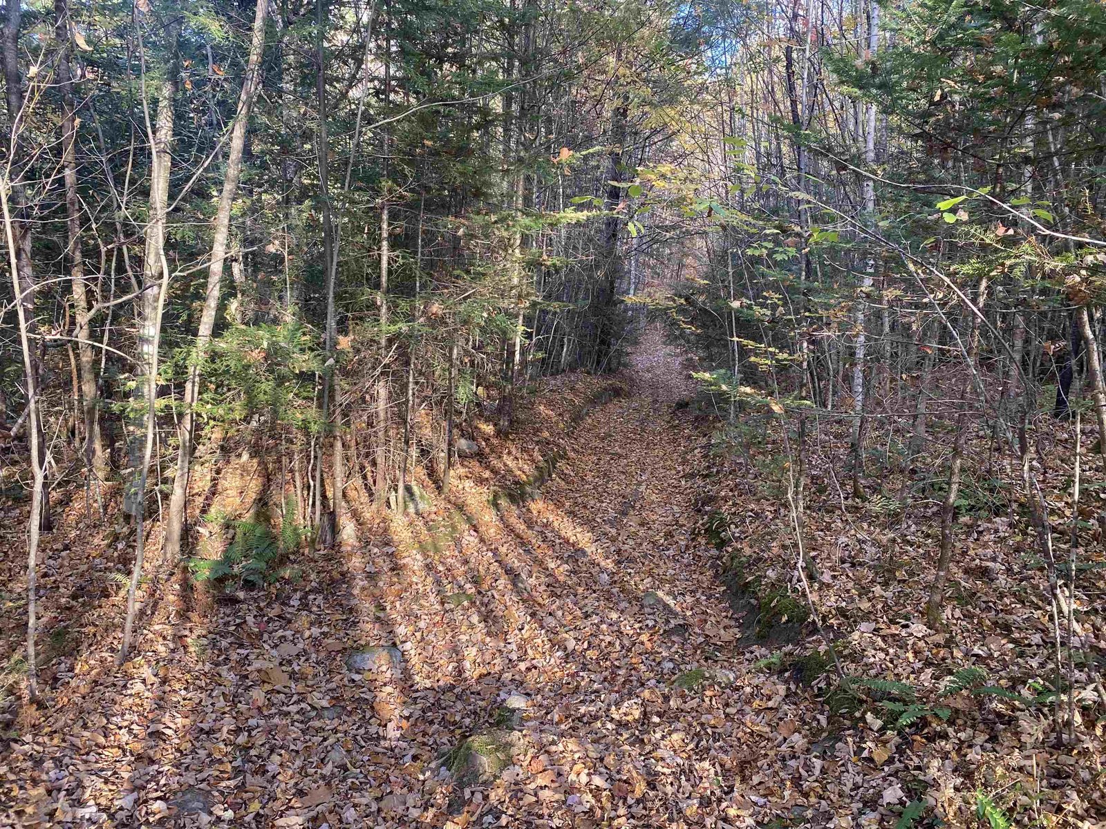 00 Round Pond Lane