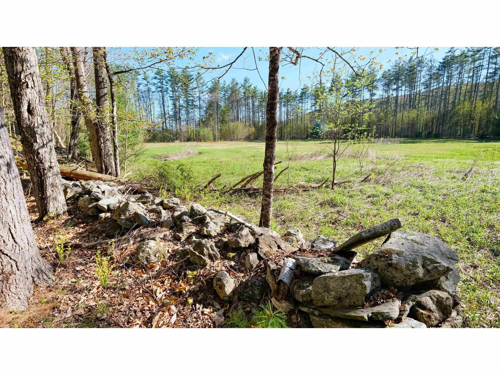 stone wall edged field