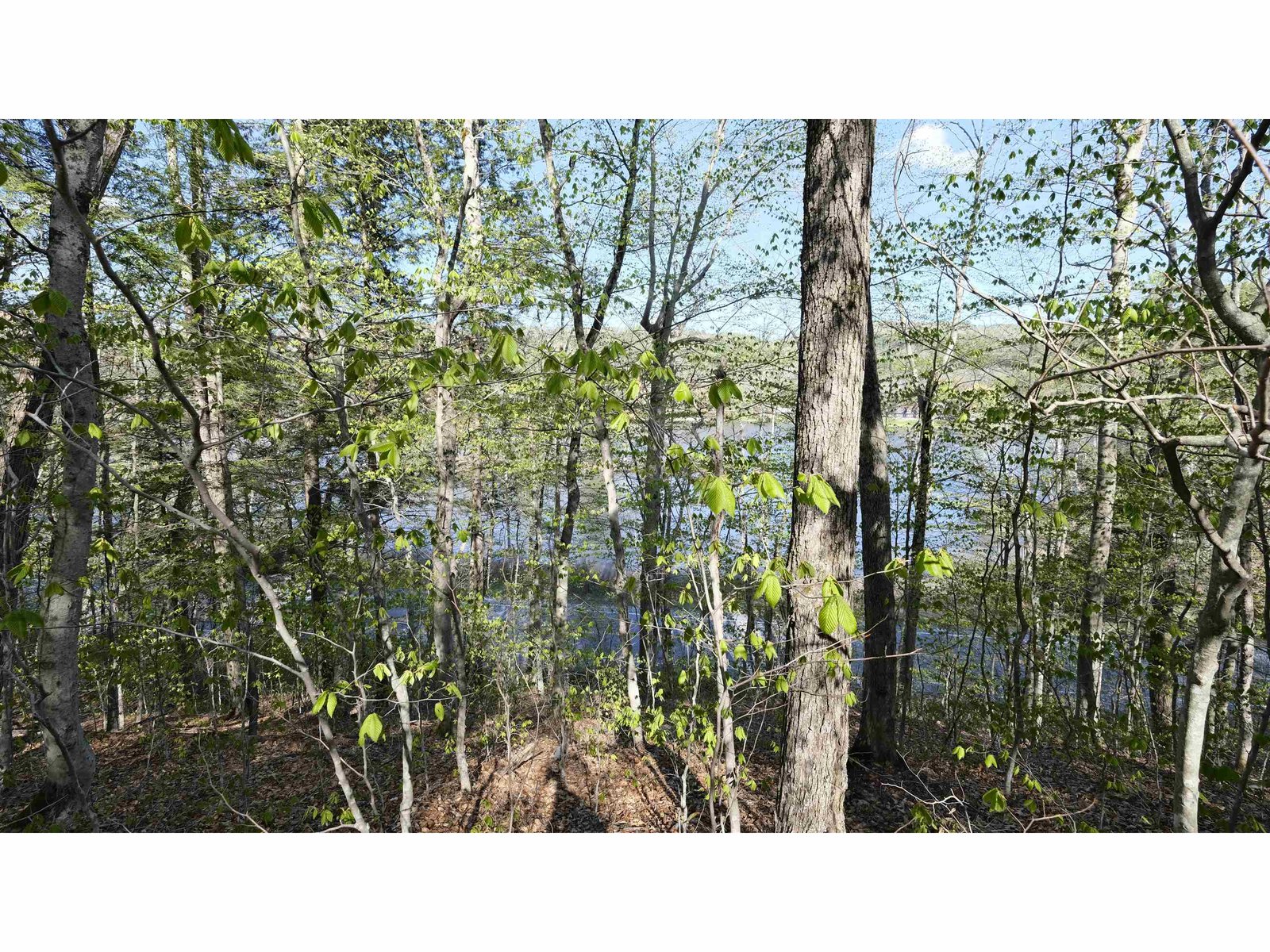 Partial views before any clearing