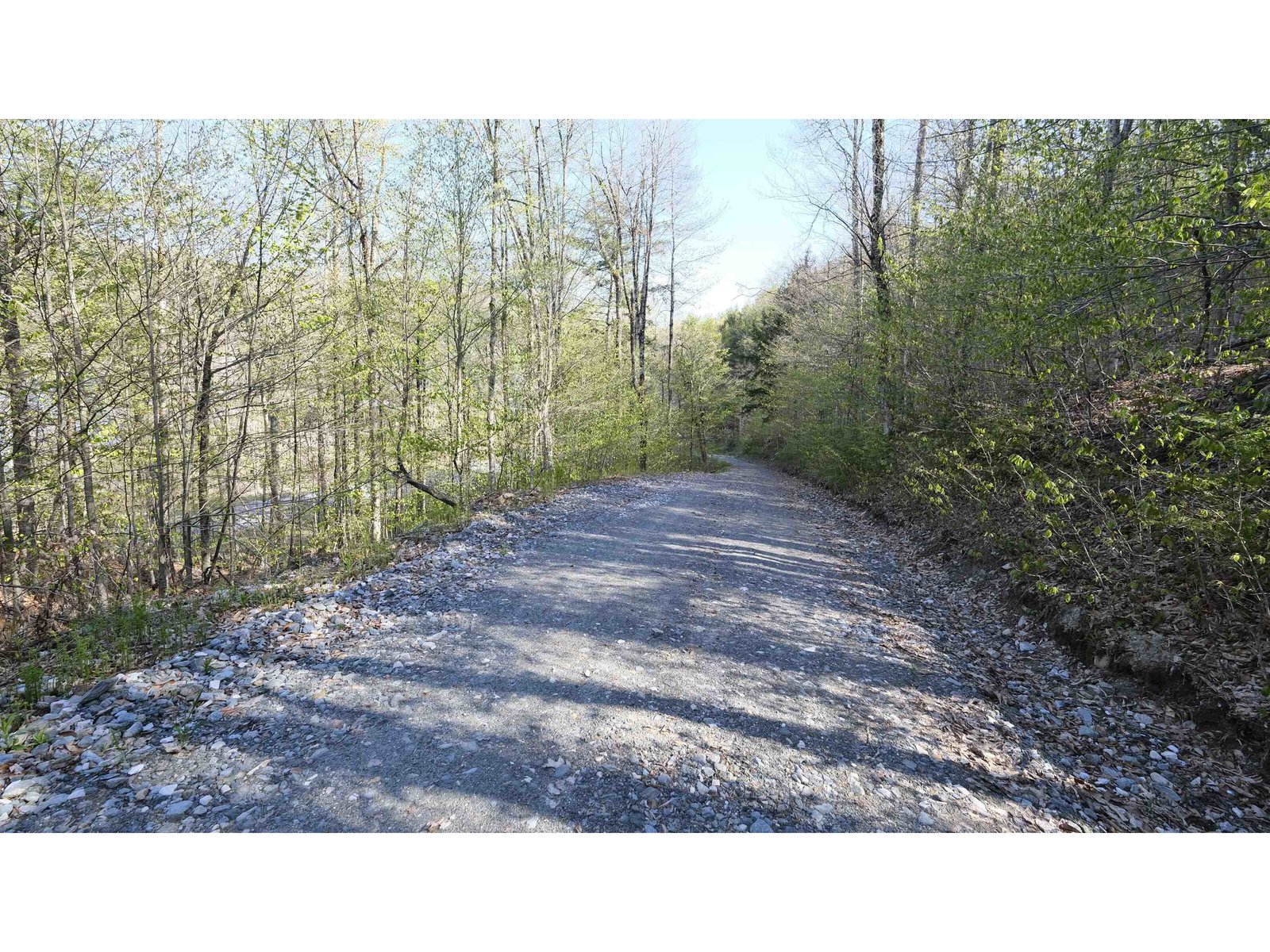 Driveway to Rt 100