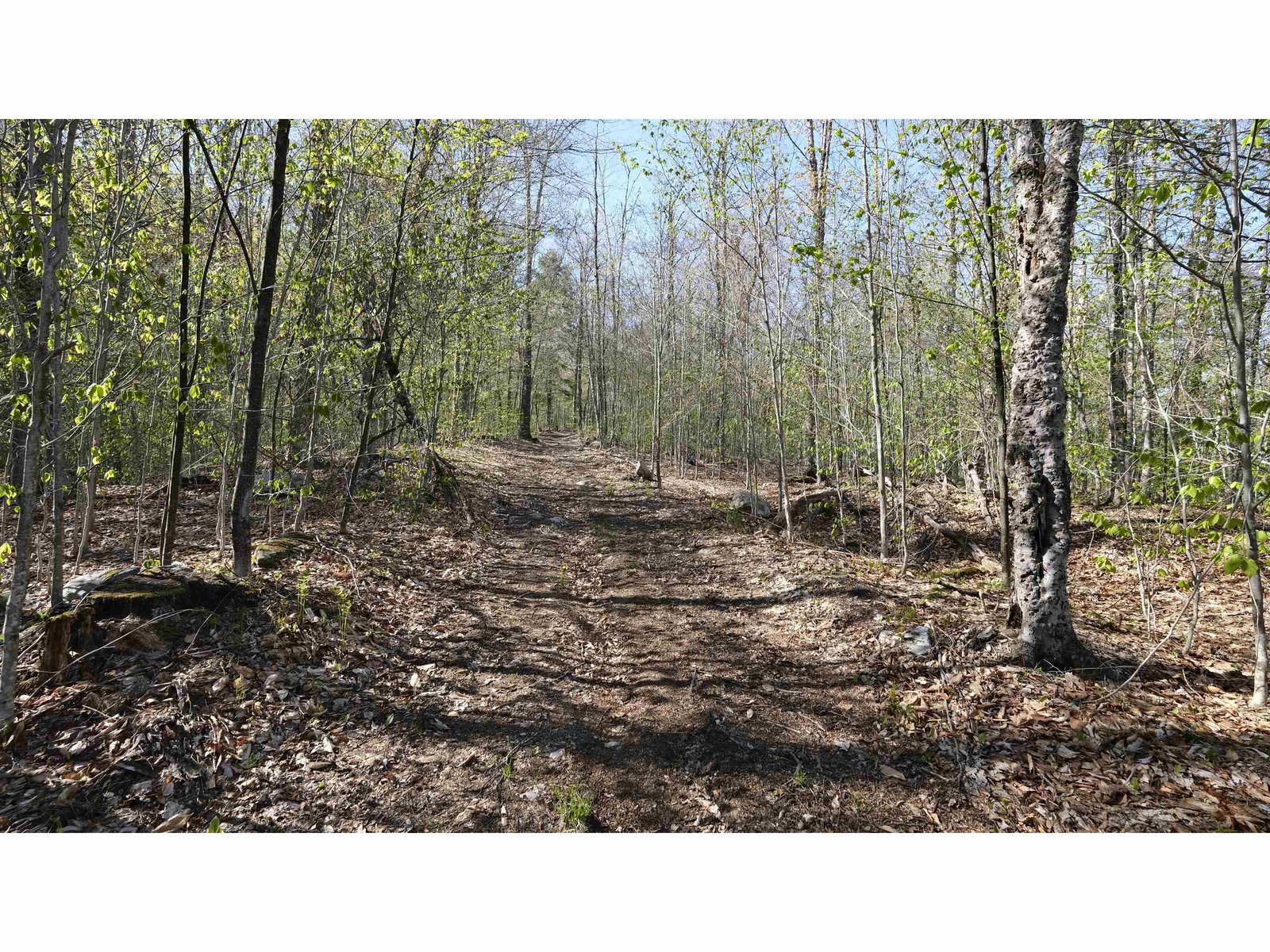 Wide trails