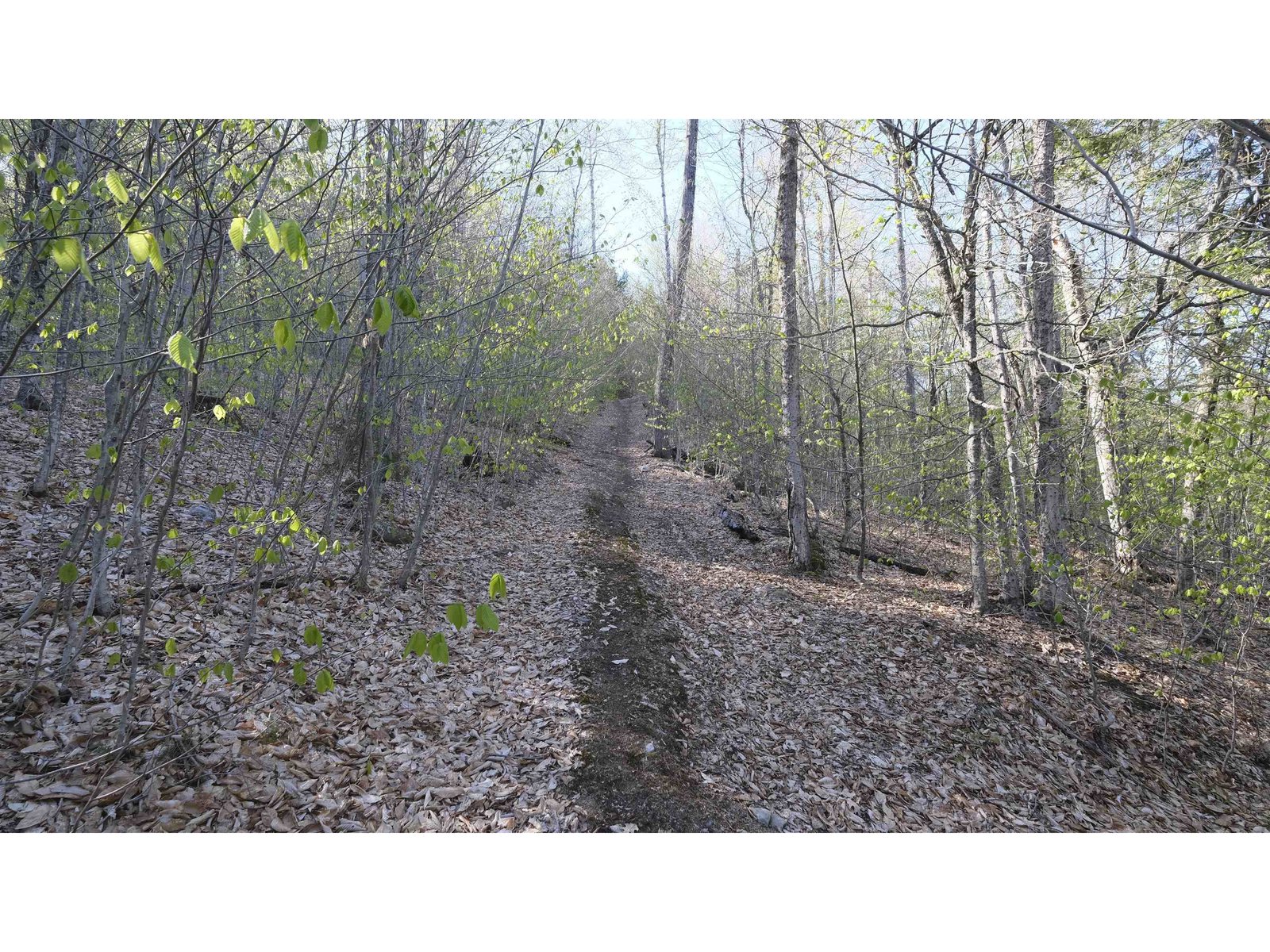 Another dirt trail