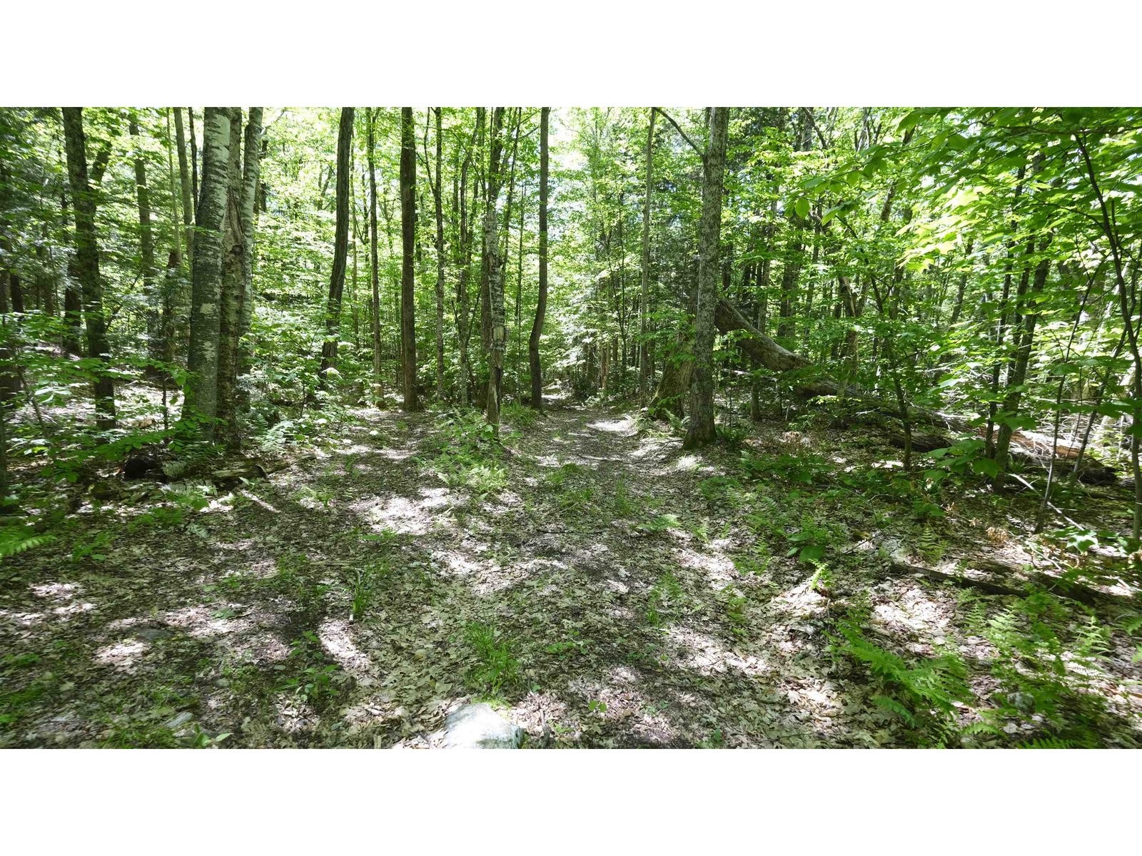 Trail intersection