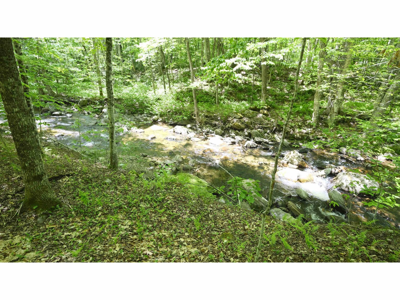 Patch Brook on property