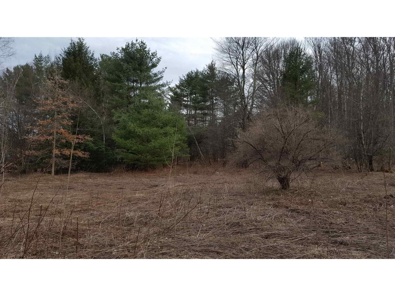 Leicester Vermont Real Estate