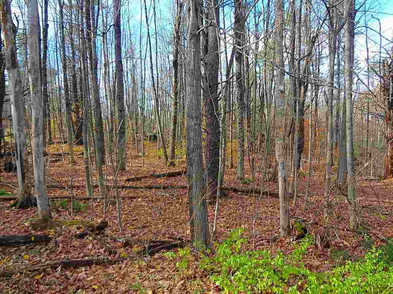 00 Sherwood Forest Road