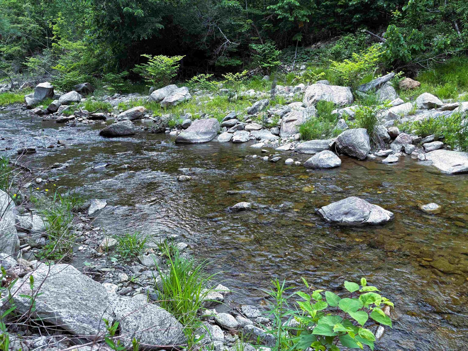 Create a swimming hole