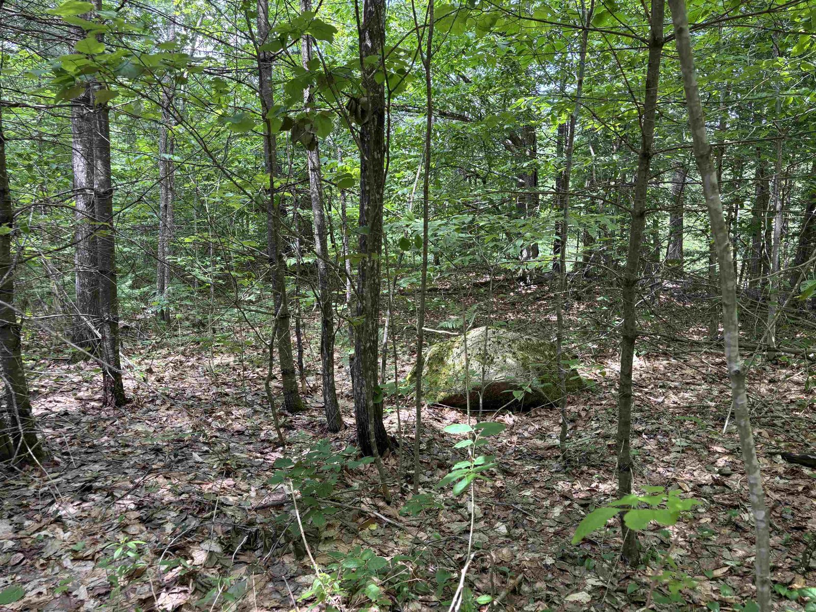 00 Simonsville Road
