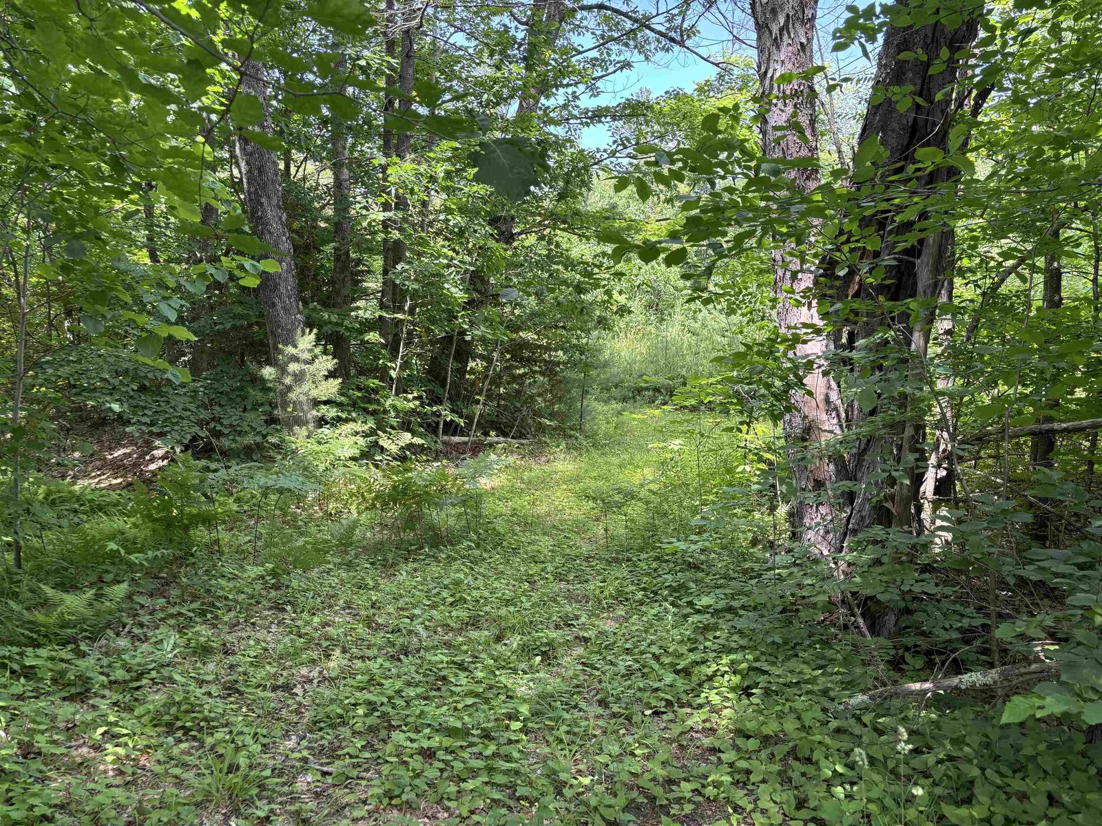 00 Simonsville Road
