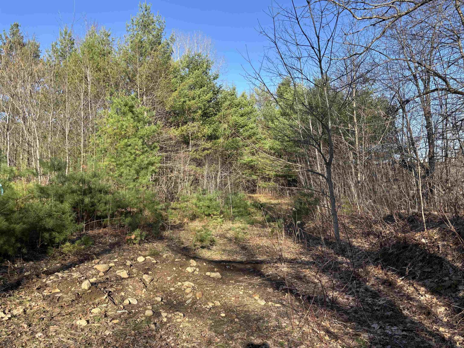 Approximate House site