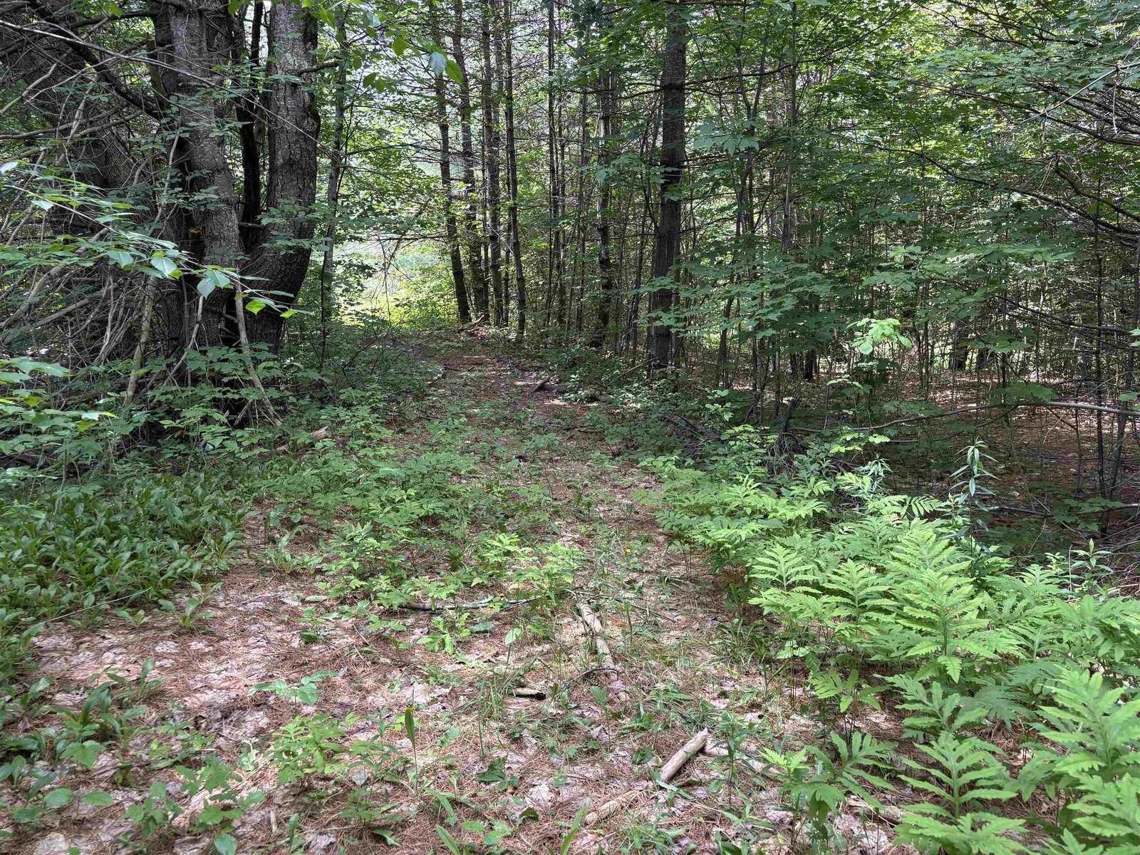00 Simonsville Road